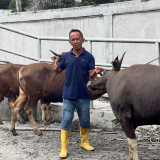 Foto Agus Lestari, Mitra Peternak TernakGrow